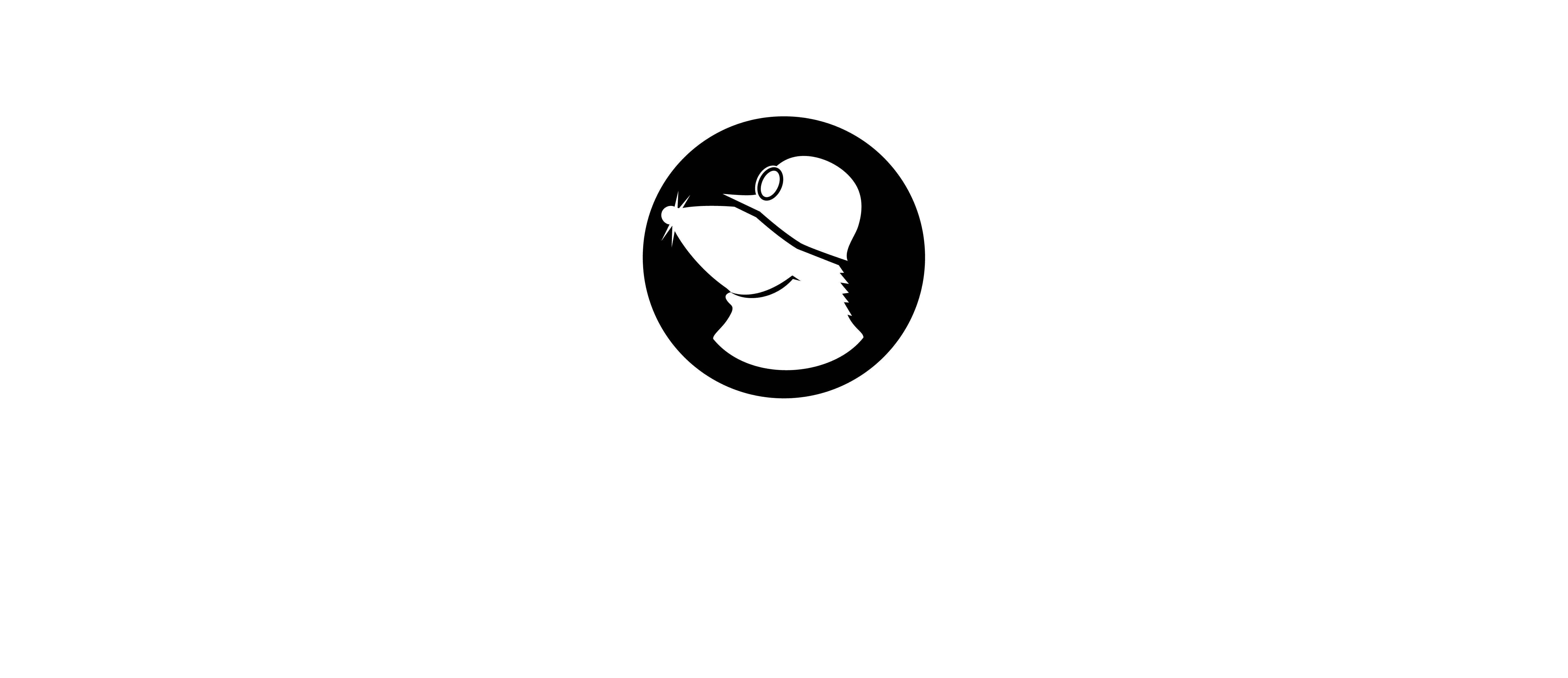 Mullvad VPN Logo BW negative